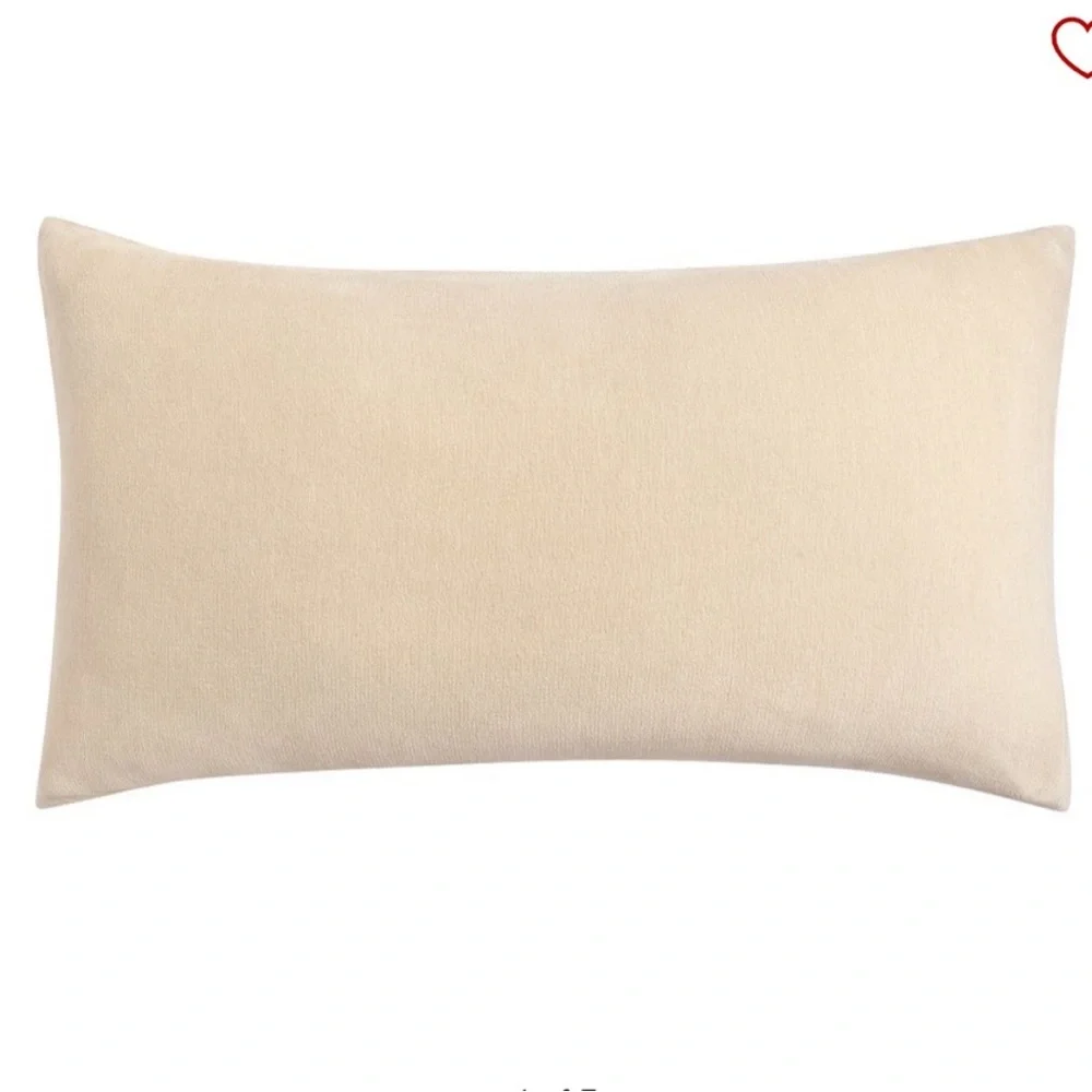 Pottery Barn Cozy Cloud King Sham in Oatmeal